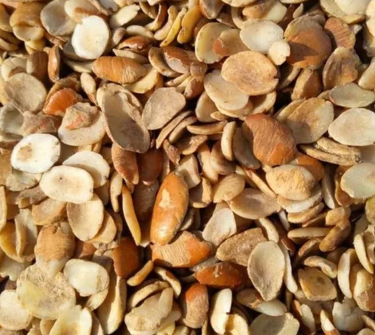 OGBONO SEED