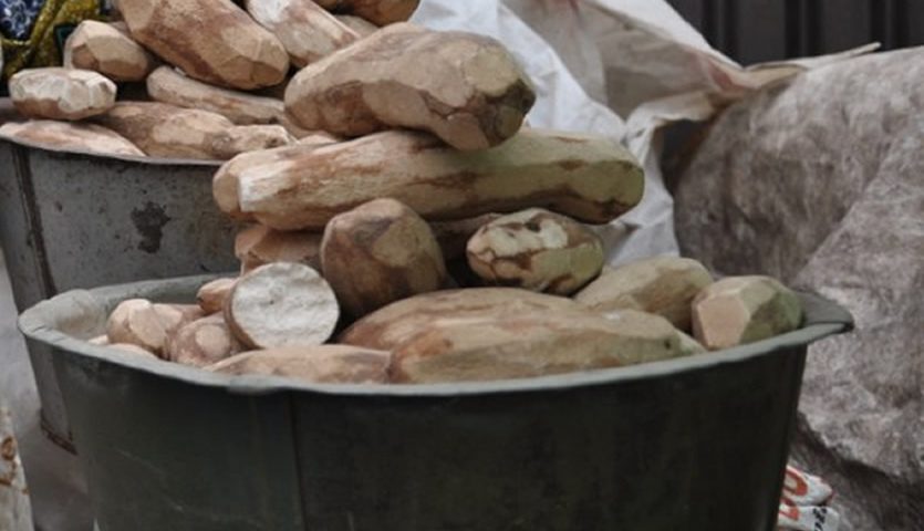 Dried Plantain