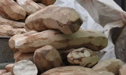 Dried Plantain