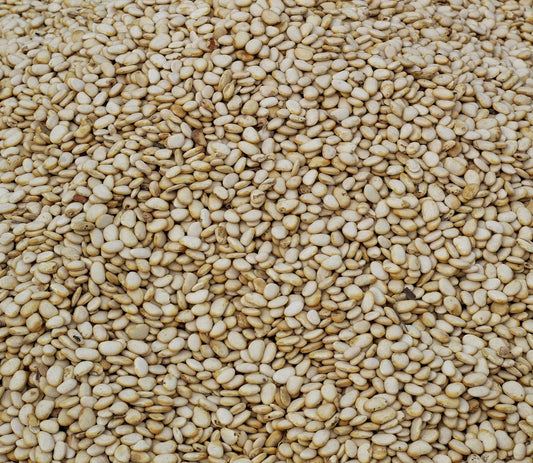 SESAME SEED